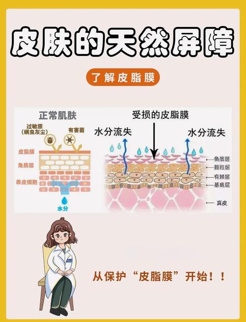 膜不是滤网,是选择性屏障