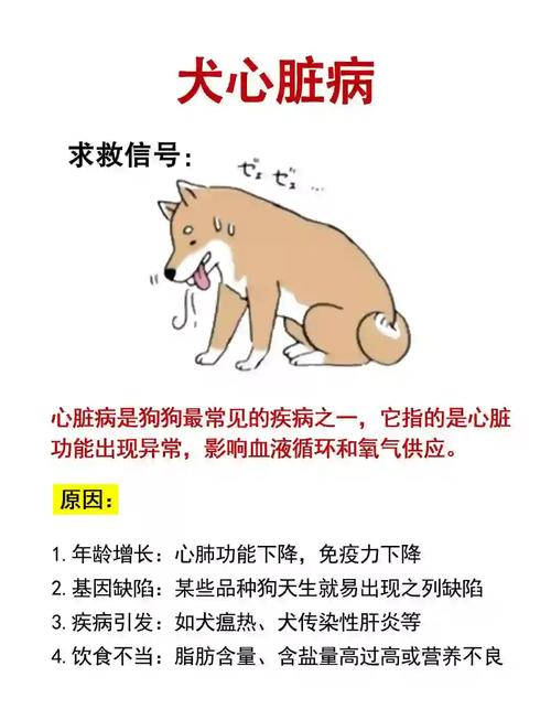 狗狗心脏病早期主人日常观察手账