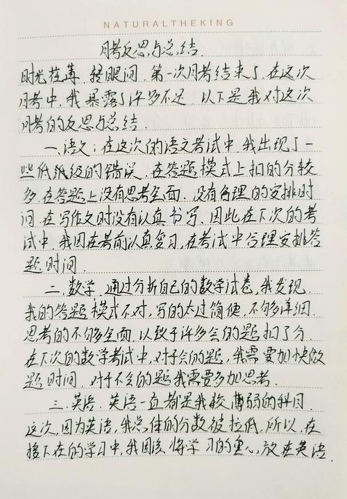 高三每日自我反思手写记录表