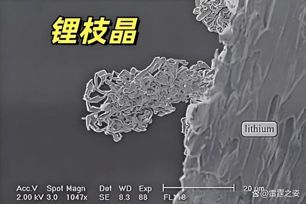 锂金属负极枝晶穿刺隔膜SEM图像