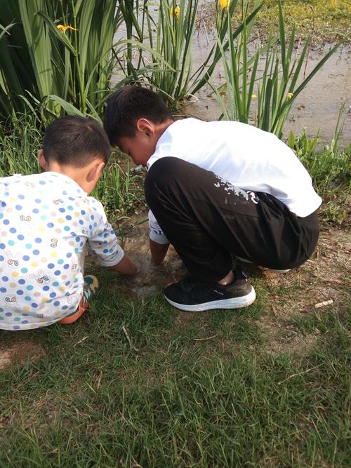 父子蹲在小区楼下观察蜗牛的温馨日常场景