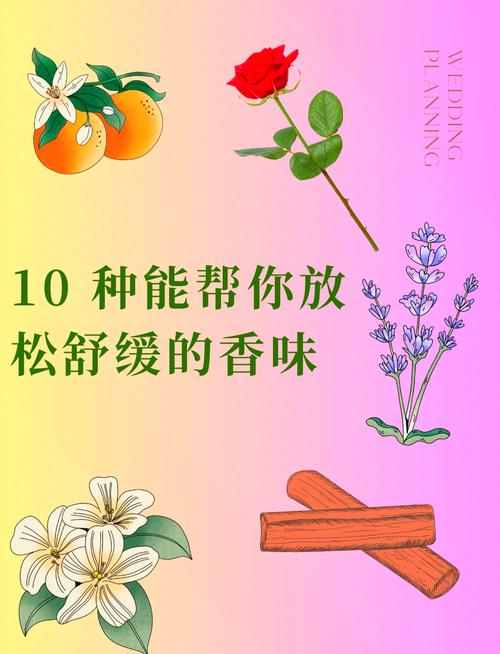 芳香舒缓养的就是那股松劲儿
