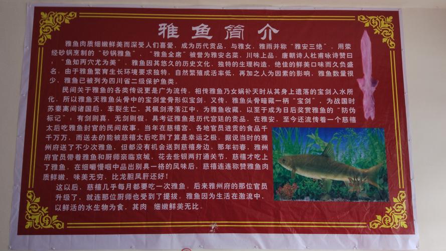 赶涌鱼得记牢这些小门道