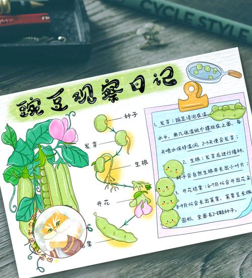 儿童手绘家庭生物观察日记手账