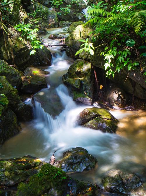 野外清澈山涧生水实景图