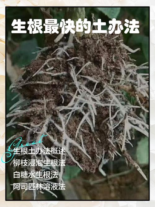 我的几个土办法