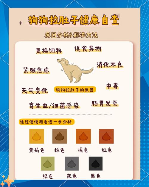 狗狗腹泻危险症状识别表
