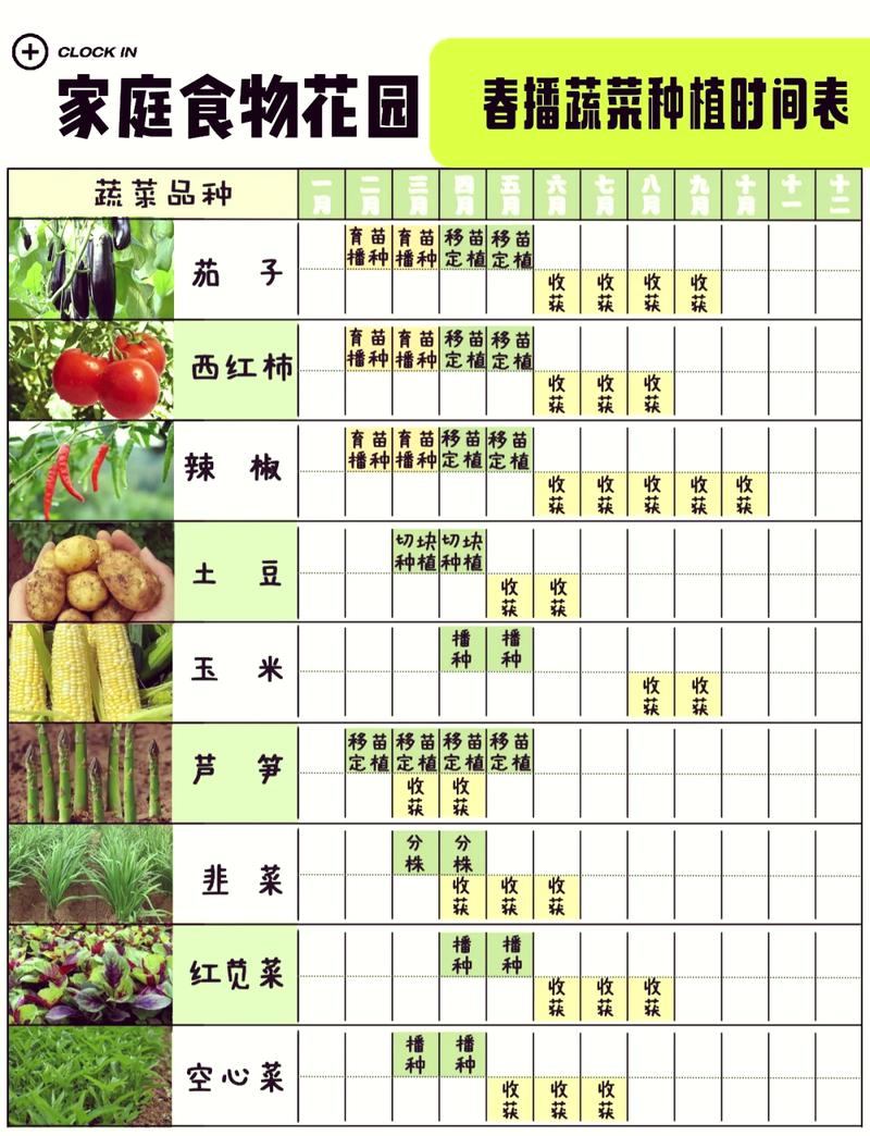 中国北方四季时令蔬菜收获时间表