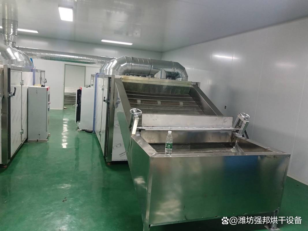多层网带式烘干流水线车间运行实拍 食品烘干