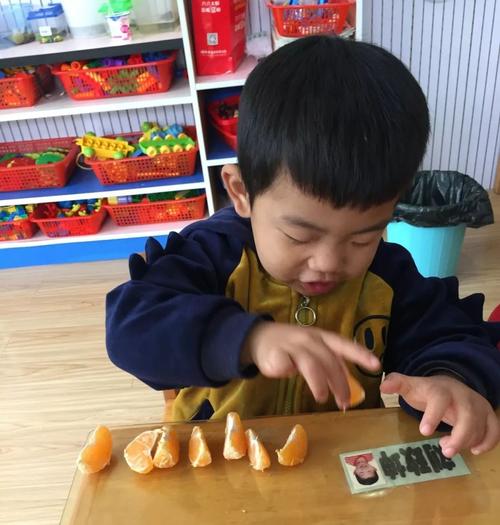 幼儿园小朋友数橘子小手实拍
