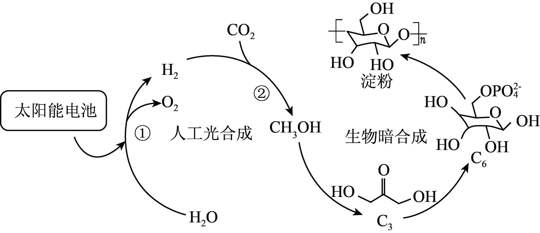 未来技术预见：那些被大多数人低估的下一个十年风口