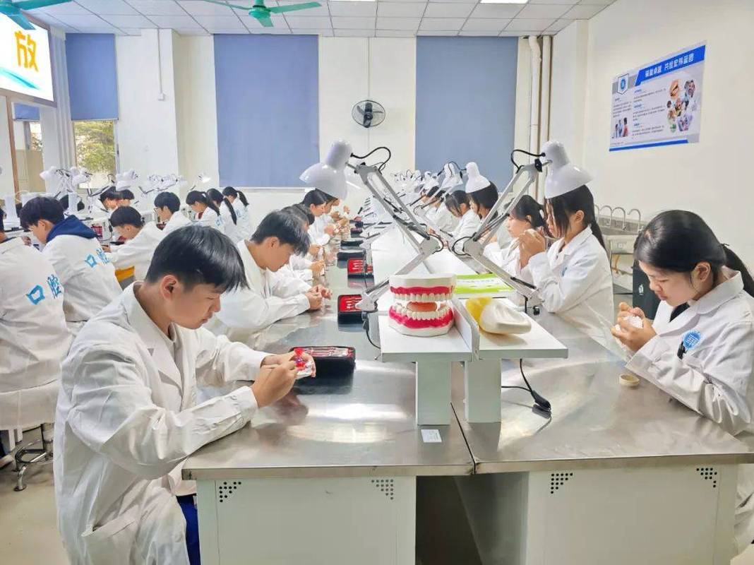 职校口腔义齿制作实训台