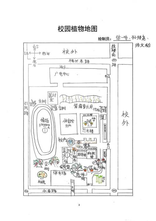 小学项目式学习校园植物地图学生作品