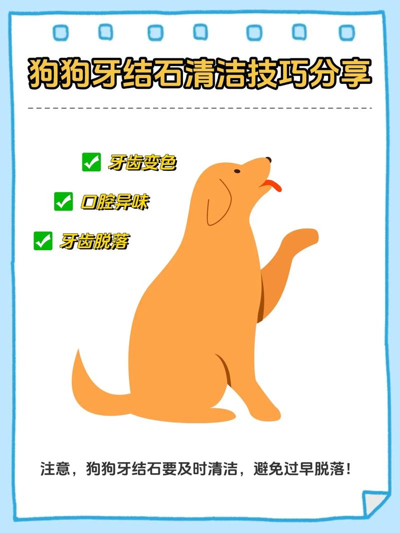 日常养宠，真正有用的防结石方法