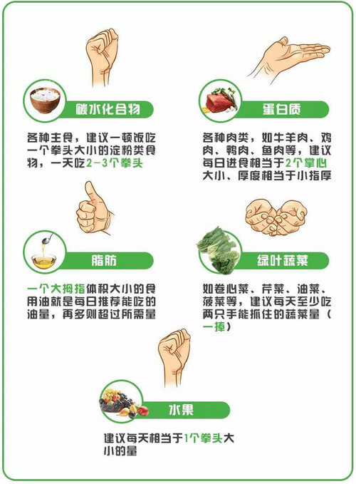膳食均衡巴掌法则手部示意图