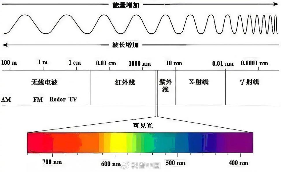 融合教育支持光谱示意图