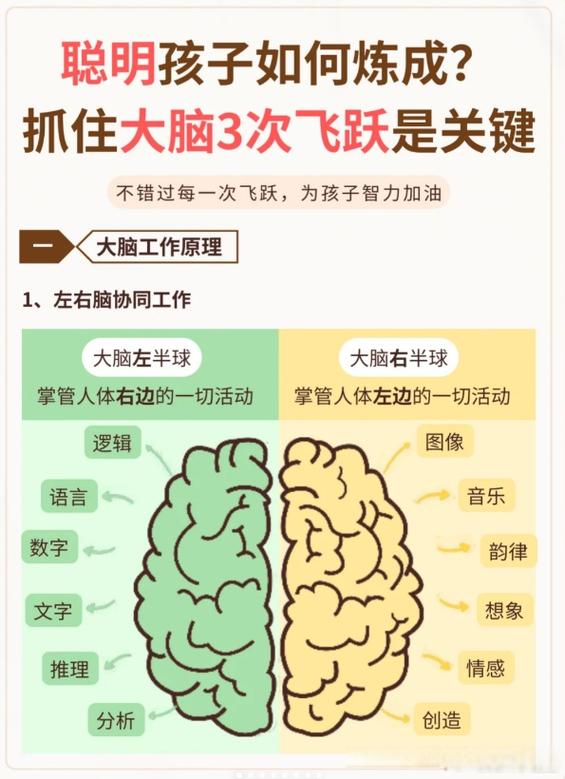 选型别只看货架，控制大脑才是命门