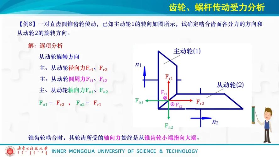 直齿锥齿轮轴向力方向判断示意图