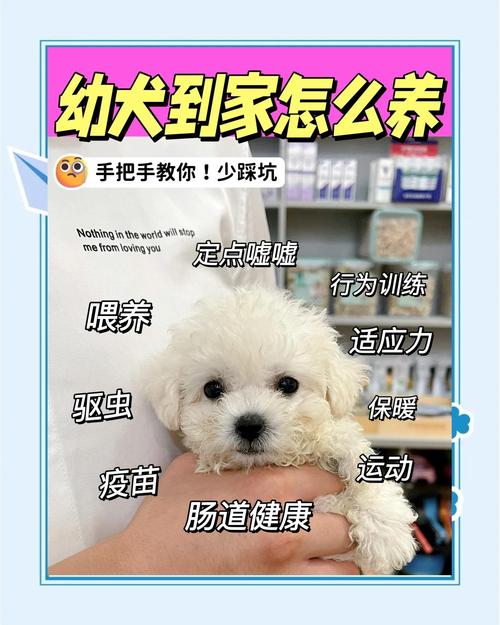 养宠给孩子的礼物，从来不是硬练责任心