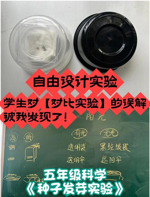 小学生科学课控制变量实验记录手绘图