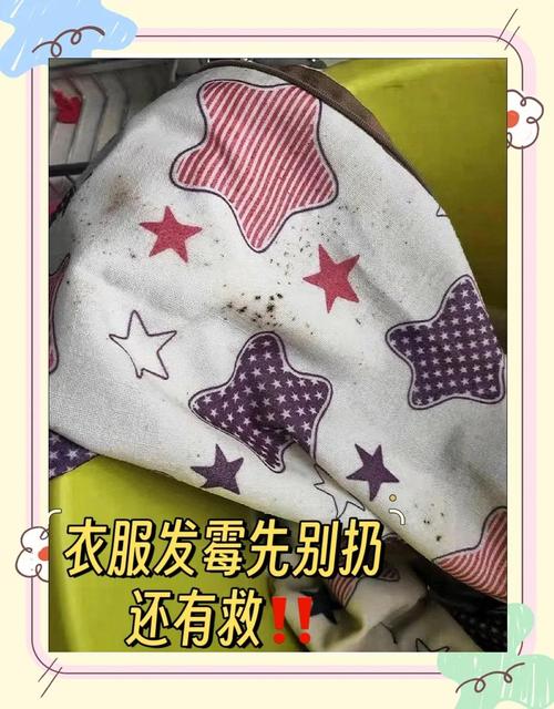 四、发霉了？别急着扔，先分情况看