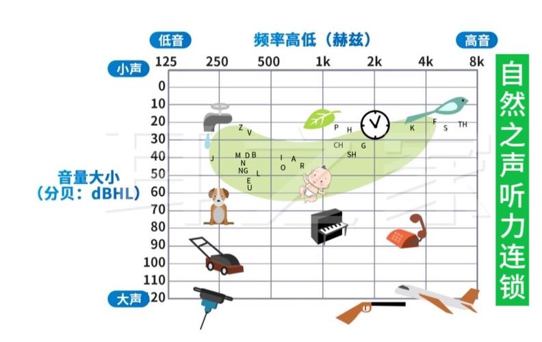 不同乐器声波振动频率对比示意图