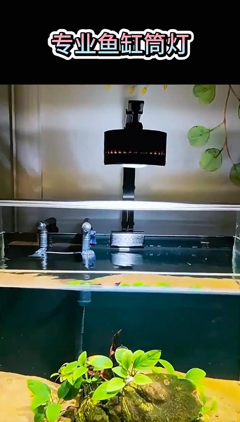 水草缸LED灯具与二氧化碳钢瓶设备组合