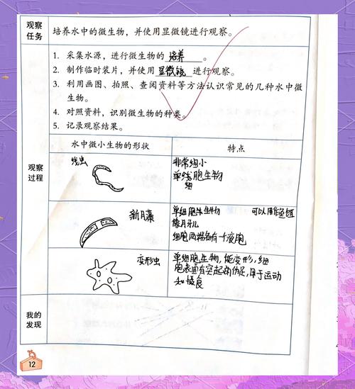 比观察生物，更有意思的是观察彼此