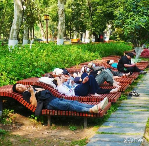 真正舒服的玩法：别赶景点，找个地方瘫一下午