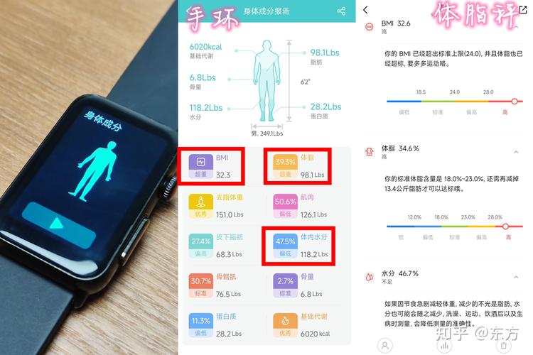 手机与手环加速度计计步原理对比图