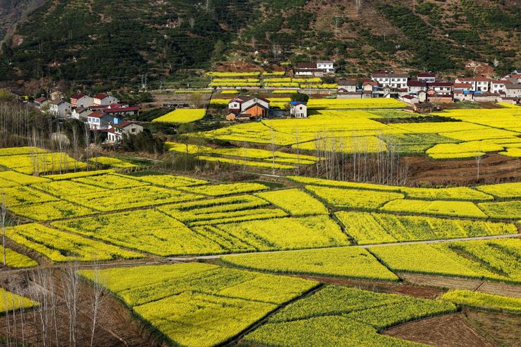 湖北南漳荆山山区春季农田风光
