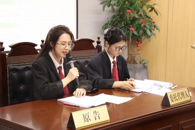 法院民事审判庭原告席老师手提教案照片