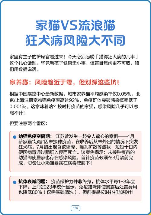 流浪猫家猫狂犬病带毒概率对比图
