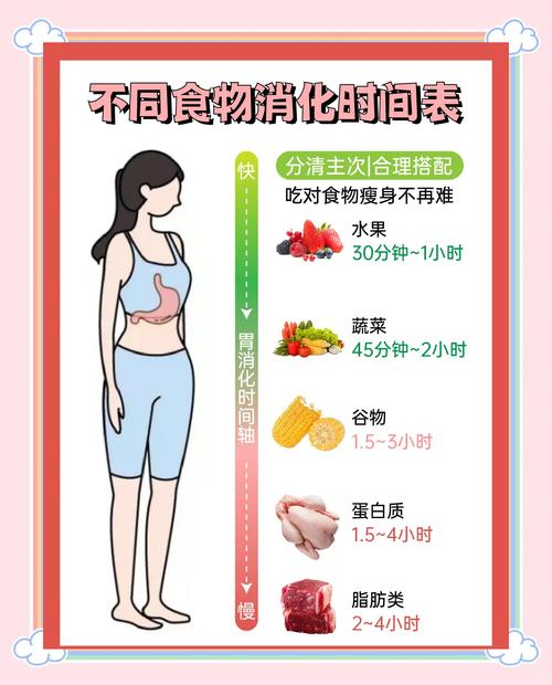 睡前消化时间与食物类型关系图