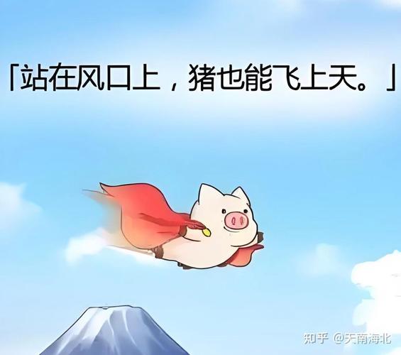 风口上的猪,也得会飞才行