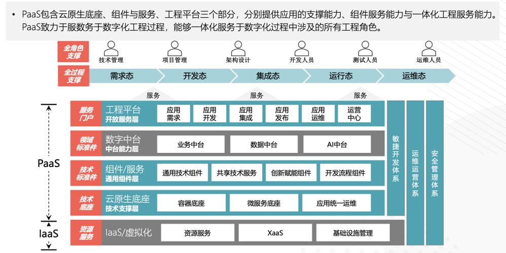 PaaS不是转租,是绑架?错,是共生