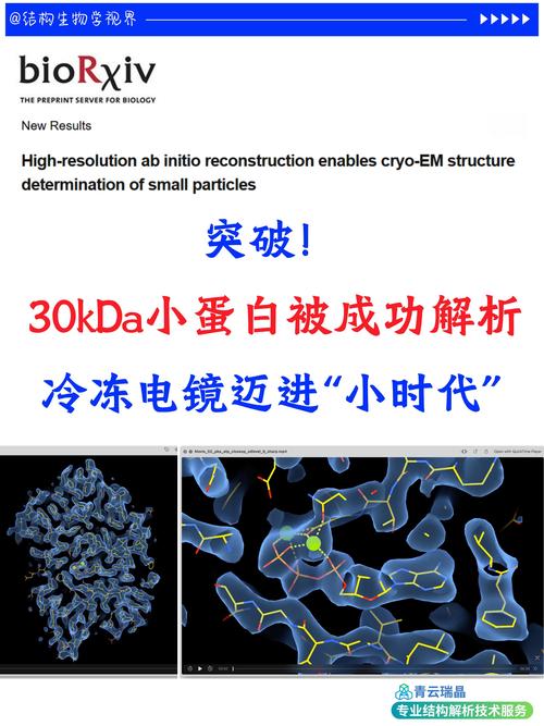 冷冻电镜下的蛋白质三维结构