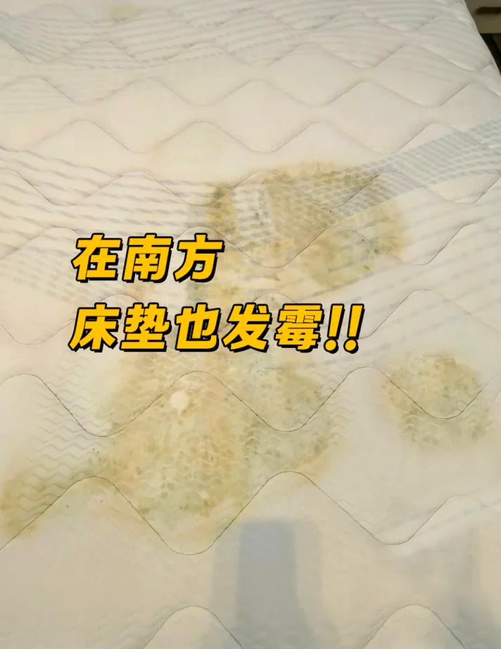 南方发霉北方开裂?藤编家具地域生存指南