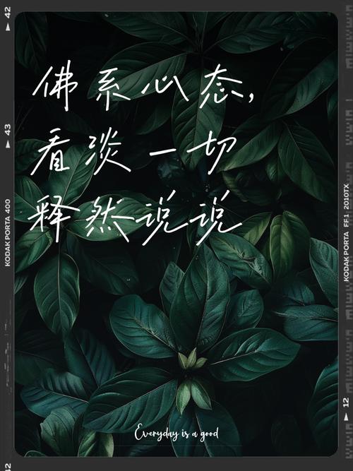 最后聊聊心态：佛系一点，反而更快