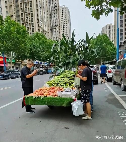 德州减河湿地入口旁摊主的煮玉米三轮车