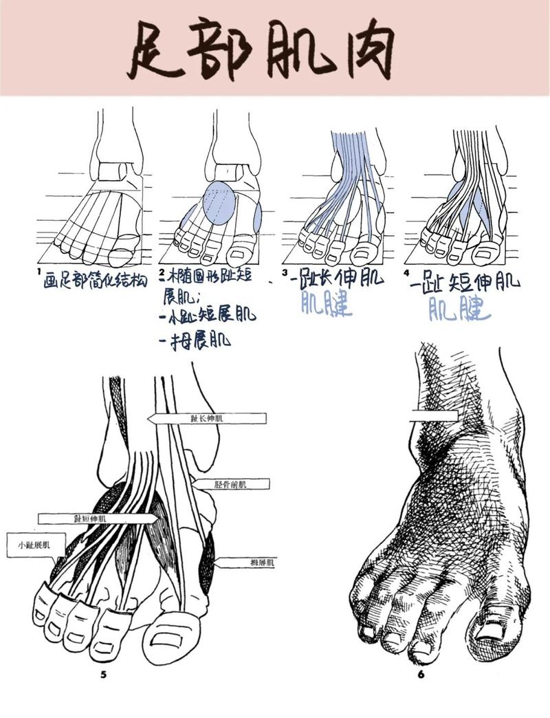 韵脚,既是枷锁也是翅膀——一个写作者的碎碎念-因为所以