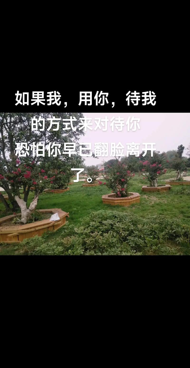 换作是你，该怎么走