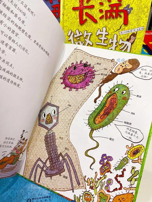 孩子天生就会找微生物，你别挡着