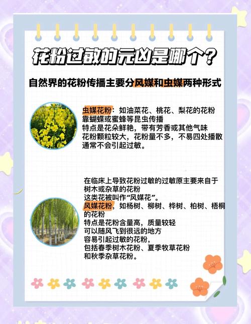 春季户外过敏原花粉传播示意图