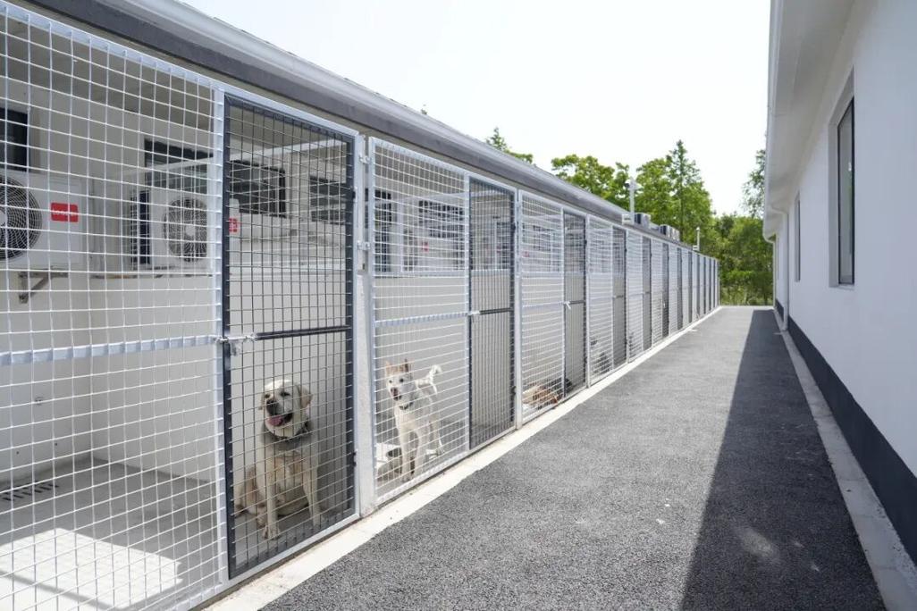 宠物友好工业车间隔音犬舍与防爆隔离设计图