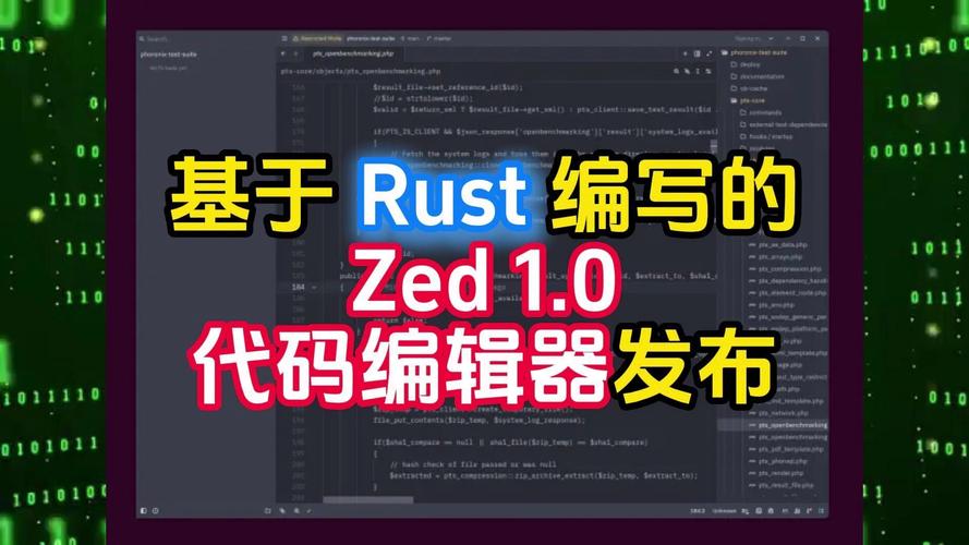 Rust编程语言代码编辑器界面