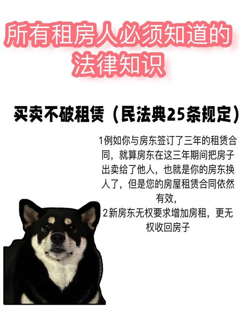 民法典买卖不破租赁条款解读图