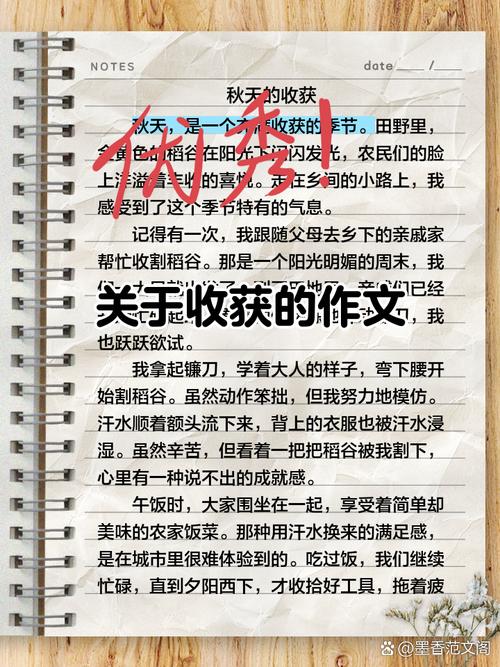 最后,说说我现在的收获