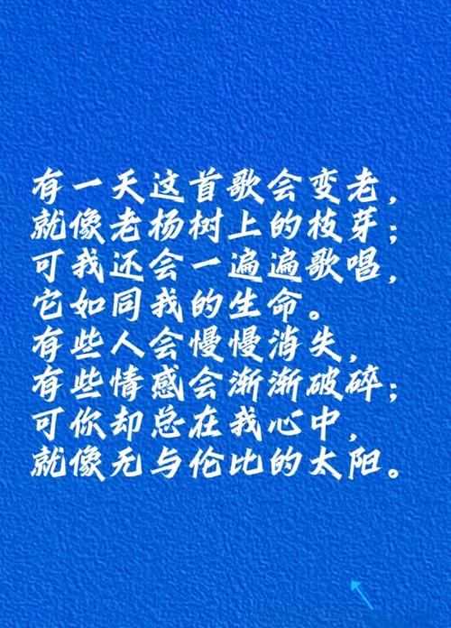 写在最后:一点个人的感慨