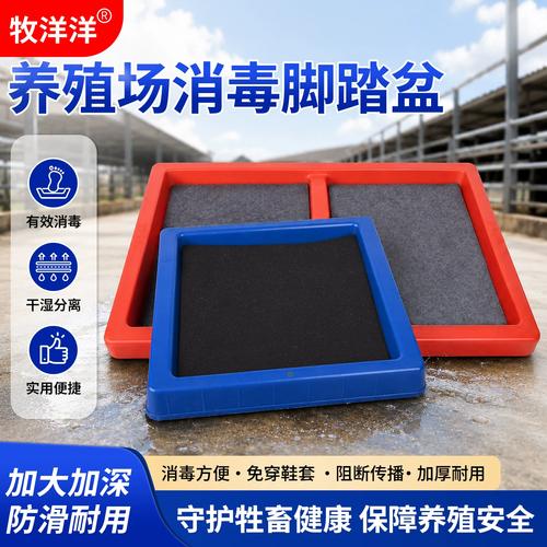 宠物主人鞋底消毒垫日常使用实拍